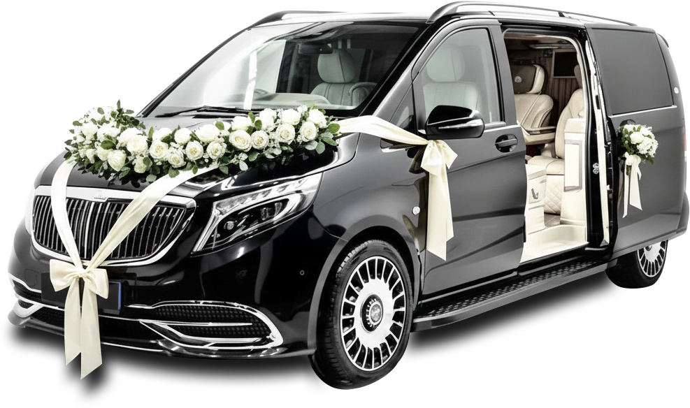 Ankara VIP Vito